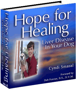 Hope for healing